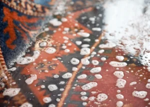 Nettoyage de tapis traditionnel avec brosse et savon.